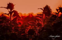 /album/fotogaleria/img-1193-masolata-jpg/